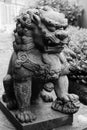 Bronze lion statue Royalty Free Stock Photo