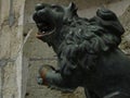 Bronze lion statue fountain.