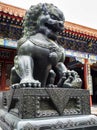 Bronze Lion Statue at the Summer Palace, Beijing, China Royalty Free Stock Photo