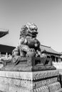 Bronze lions in the imperial palace Royalty Free Stock Photo