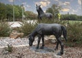 Bronze mare and colt on a traffic circle in the City of Colleyville, Texas.