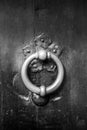 Bronze metal antique vintage door knock or knocker on an old wood door black and white