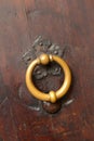 Bronze metal antique vintage door knock or knocker on an old wood door