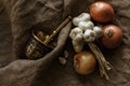 Bronze morter and group of garlics and onions Royalty Free Stock Photo