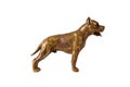 bronze pit bull terrier figurine isolated on white background Royalty Free Stock Photo