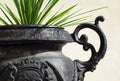 Bronze pot Royalty Free Stock Photo