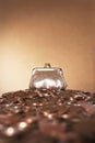 Bronze purse on heap of copper coins Royalty Free Stock Photo
