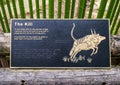 Bronze relief of tiger killing its prey at the Dallas City Zoo in Texas.