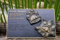 Bronze relief of Tiger paws with claws at the Dallas City Zoo in Texas.