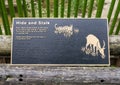 Bronze relief of tiger stalking its prey at the Dallas City Zoo in Texas.