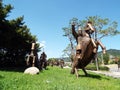 Bronze reproduction of a small army of warriors from the time of the Geumgwan Gaya kingdom 43 - 532