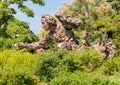 Bronze sculpture of Carolus Linnaeus in the Chicago Botanic Garden, USA Royalty Free Stock Photo