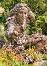 Bronze sculpture of Carolus Linnaeus in the Chicago Botanic Garden, USA