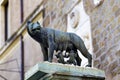 The bronze sculpture copy of The Capitoline Wolf Royalty Free Stock Photo