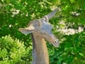 Bronze sculpture of deer in Omaha's Henry Doorly Zoo and Aquarium in Omaha Nebraska