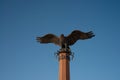 Bronze sculpture of an eagle in the Tazheranskaya steppe,lake Baikal,Russia