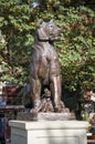 Bronze sculpture of lion in the green summer park Royalty Free Stock Photo