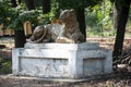 Bronze sculpture of lion in the green summer park Royalty Free Stock Photo