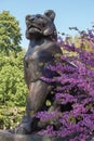 Bronze sculpture of a lioness with a small lion cub. Blooming cercis tree with pink flowers. Judas tree. Royalty Free Stock Photo