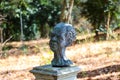 A bronze sculpture of a mans head surrounded by lush green trees and dry brush at Smith-Gilbert Gardens