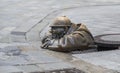 Bronze sculpture of a plumber Royalty Free Stock Photo