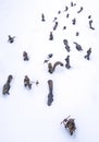 Bronze sculpture of squirrels in snow