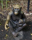 Bronze sculpture titled `Dallas Chimps` by Robert Berry at the Dallas City Zoo.