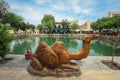 Bronze statue of the Camel on the Silk Road in the central city square of Bukhara, beside the Lyabi-Hauz complex Royalty Free Stock Photo