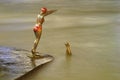 Bronze statue of girl swimmer jumping in Vardar