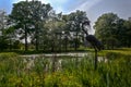 Bronze statue heron reed lake, Arboretum Park, Wespelaar, Leuven, Belgium