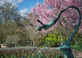 Bronze statue if a swan dive in front of pink Cherry tree (Prunus serrulata) Wisley, Surrey. Royalty Free Stock Photo