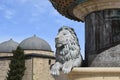 Bronze statue of a lion and a fountain in the center of Skopje (North Macedonia) on the background Royalty Free Stock Photo