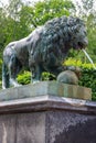Bronze statue of lion. Fragment of fountain Lion`s cascade in Lower park of Peterhof in St. Petersburg, Russia