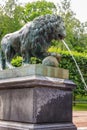 Bronze statue of lion. Fragment of fountain Lion`s cascade in Lower park of Peterhof in St. Petersburg, Russia