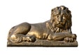 Bronze statue of the lion, isolated on a white background Royalty Free Stock Photo