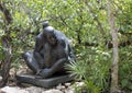 Bronze statue of a Mayan woman at Yal Ku Lagoon, Akumal Royalty Free Stock Photo