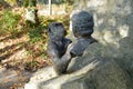 Bronze statue of monkey and man