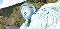 The bronze statue of reclining Buddha statue at Nanzoin Temple in Sasaguri, Fukuoka, Japan. Royalty Free Stock Photo