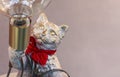 Bronze statuette of a cat with a lamp