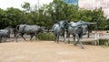 Bronze Steer Sculpture Pioneer Plaza, Dallas Royalty Free Stock Photo