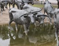 Bronze Steer Sculpture Pioneer Plaza, Dallas Royalty Free Stock Photo