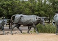 Bronze Steer Sculpture Pioneer Plaza, Dallas Royalty Free Stock Photo