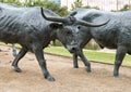 Bronze Steer Sculpture Pioneer Plaza, Dallas Royalty Free Stock Photo