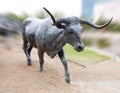 Bronze Steer Sculpture Pioneer Plaza, Dallas Royalty Free Stock Photo