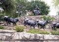 Bronze Steers and Cowboy Sculpture Pioneer Plaza, Dallas Royalty Free Stock Photo