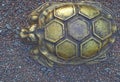 Bronze tortoise on colored gravel.