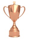 Bronze trophy cup on white