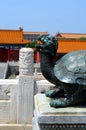 Bronze turtle in the imperial palace which stands for power and long life, Forbidden city in Beijing Royalty Free Stock Photo