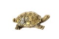 Bronze turtle isolated on white background. Royalty Free Stock Photo