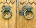 Bronze vintage door handle.